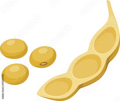 Yellow Soybeans Illustration
