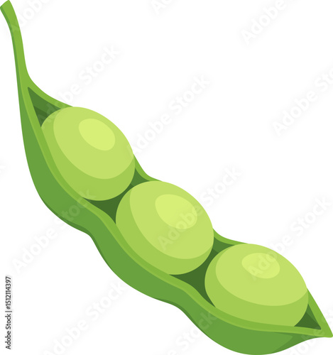 Green Soybean Pod Illustration