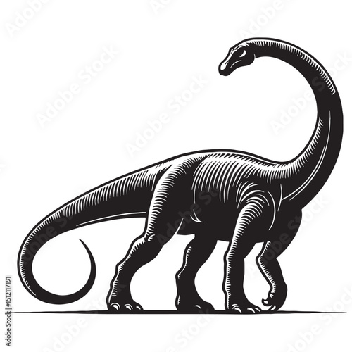Long-Necked Diplodocus silhouette with ancient grace – Diplodocus illustration – Minimalist Diplodocus vector – Dinosaur silhouette


