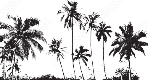 Palm tree silhouette vector art. silhouette of coconut tree, palm tree silhouette, Transparent background 