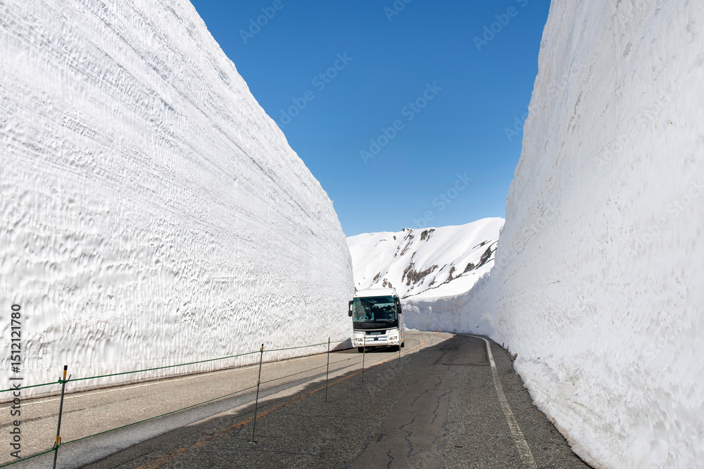 Fototapeta premium Bus between high Snow Wall or Snow Corridor in Tateyama Mountain Range of Northern Japan Alps, 2450 meters above sea level along Tateyama Kurobe Alpine Route