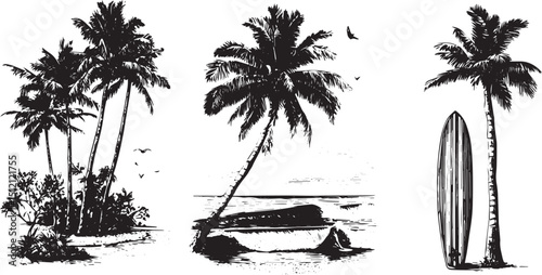 Three set palm and coconut tree, Silhouette of two palm trees on a beach. transparent background.