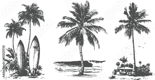Three set palm and coconut tree, Silhouette of two palm trees on a beach. transparent background.