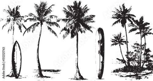 Palm tree silhouette vector art. silhouette of coconut tree, palm tree silhouette, Transparent background 