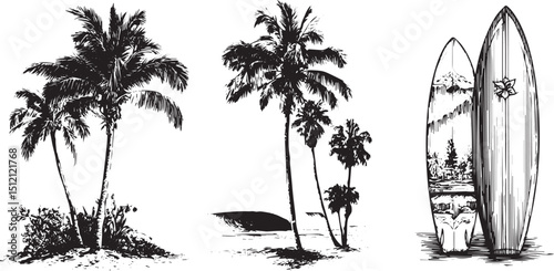 palm tree silhouettes set, Summer beach vacation scene silhouette black vector art set design, palm tree vector illustration silhouette transparent background.