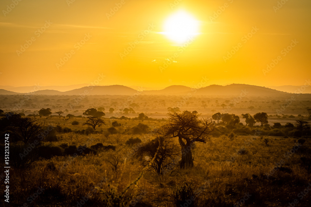 Naklejka premium African Sunrise