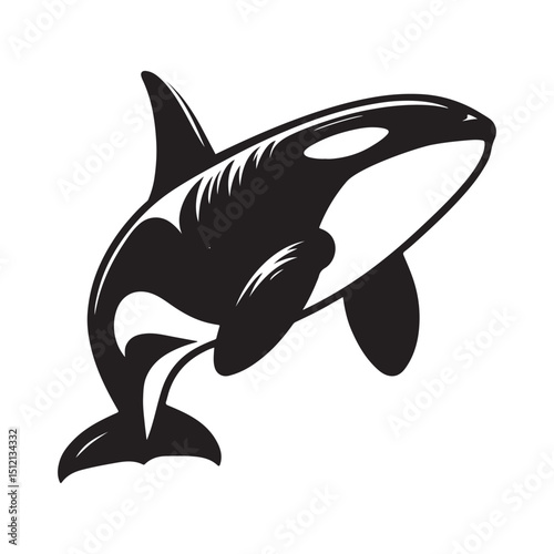 Orca vector silhouette Eps. Orca