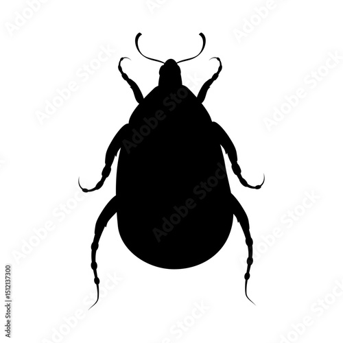Black silhouette of insect beetle on white background. Isolated vector illustration.