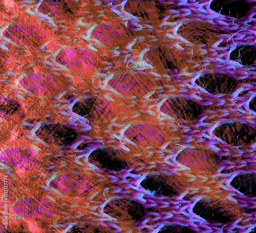 abstract colorful background