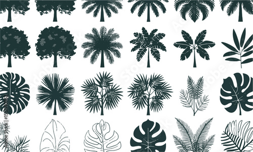 Modern vector illustration set of top view tree canopies and tropical leaf outlines, Includes various circular foliage patterns representing different tree types, easily scalable   and editable.