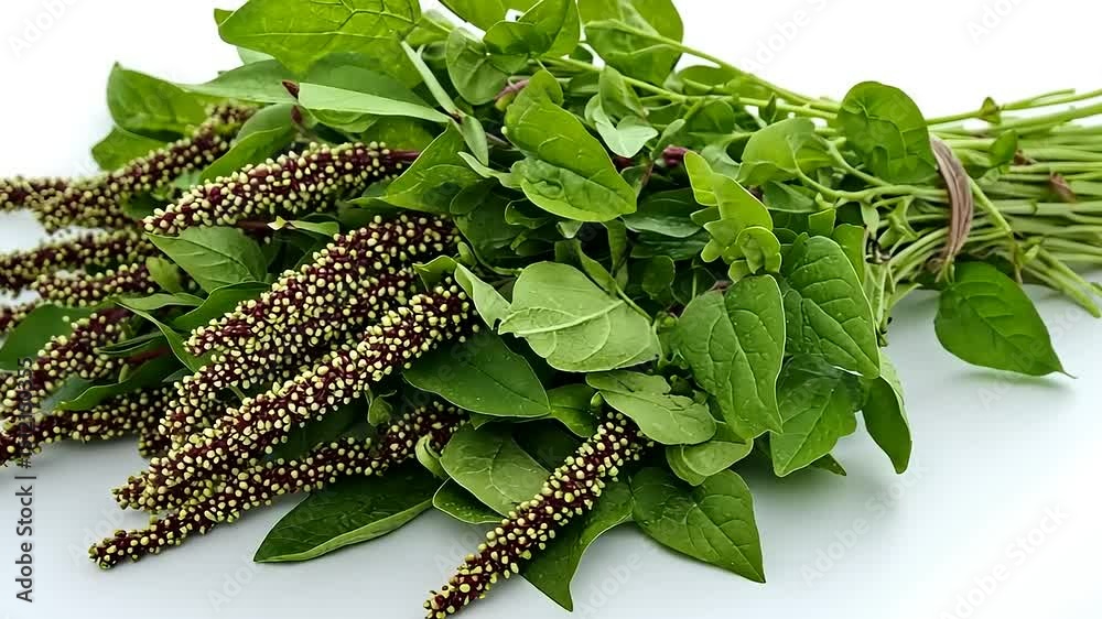 Fresh Amaranth Greens and Seeds on a White Surface Ready for Culinary Use