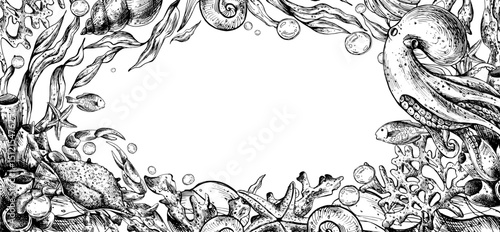 Marine underwater clip art with octopus, crab, shells, sea sponges, corals, starfish, pebbles, seaweed, fish, bubbles. Graphic illustration hand drawn in black ink. Border, template, frame EPS vector.