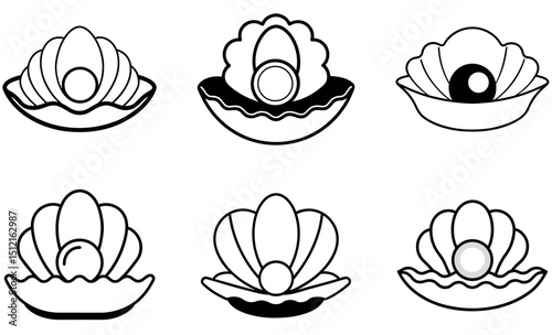 Elegant Black and White Oyster Shell Illustrations with Pearl