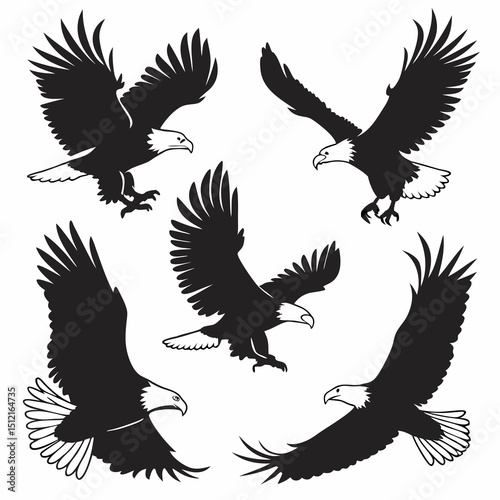 Flat design of a raptor bird silhouette in black, representing strength, flight, and sharp vision.