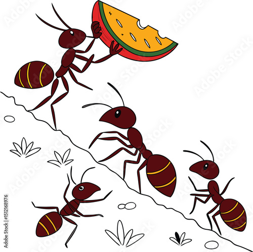 Ants Working Together to Carry Watermelon