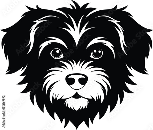 dog, animal, white, head, vector, lion