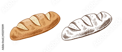 Hand drawn vintage sketch of rustic bread loaf with slashes in color and monochrome version, isolated vector illustration