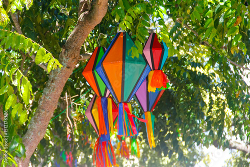 Colorful traditional decorative banners or streamers hanging from tree branches during a cultural festival in Caruaru.