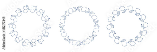Set of round frames with blue lemons. Hand drawn outline lemons and leaves. Design elements for print, wedding invitation, logo design and cards. Isolated vector illustration