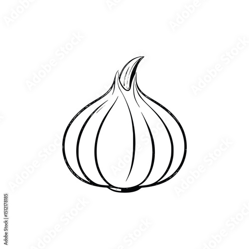 Garlic bulb isolated on white background, a flavorful culinary ingredient. Silhouette Art