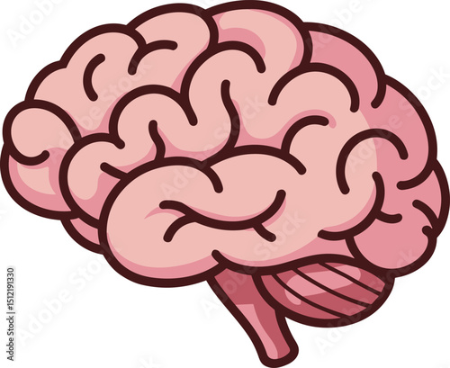Cartoon brain vector illustration – human brain anatomy clipart for education, medical design, neuroscience icon, psychology graphic, and health concept drawing