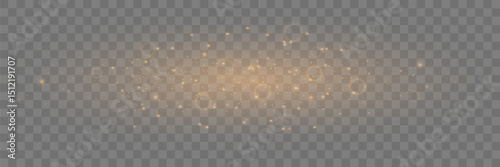 Christmas light effect. Sparkling golden magic dust particles.Vector illustration.EPS 10.