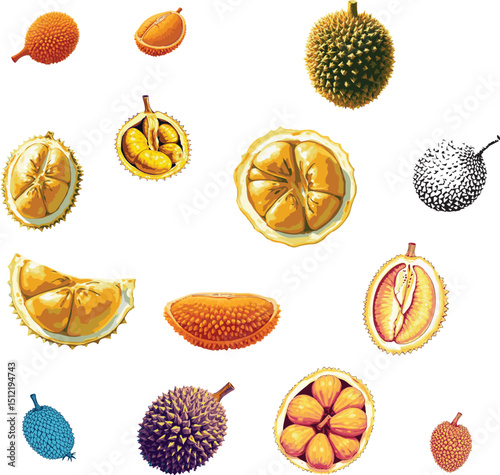 Collection of colorful durian line art vector silhouettes, hand drawn sketches and coloring pages.

