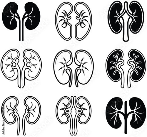 Collection of kidney icons in various styles for medical and healthcare themed design projects