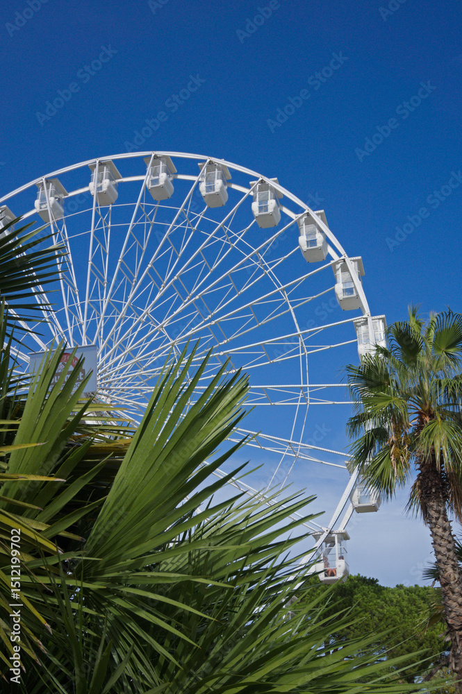 Fototapeta premium white ferris wheel and palm trees against blue sky