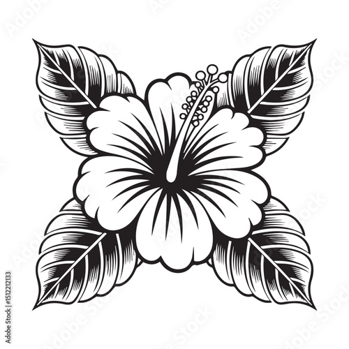 Elegant black and white hibiscus flower illustration