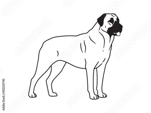 Dog. Line drawing