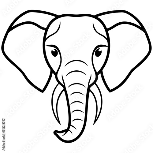 Elephant Head Close Up