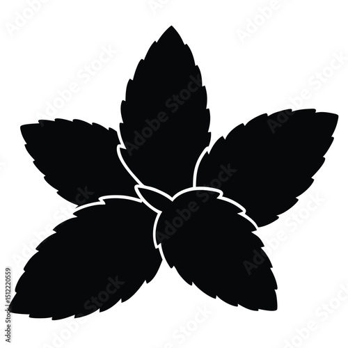 Fresh Mint Leaves Isolated Vector Illustration