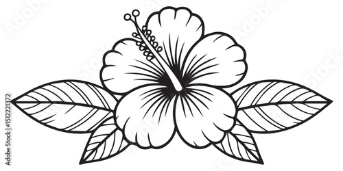 Elegant black and white hibiscus flower illustration