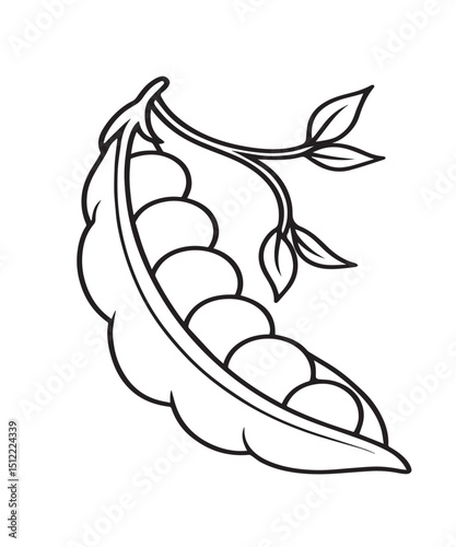 a pod of peas, pea pod, black and white line art illustration, minimalist, elegant, botanical, natural, simple, clean, digital art