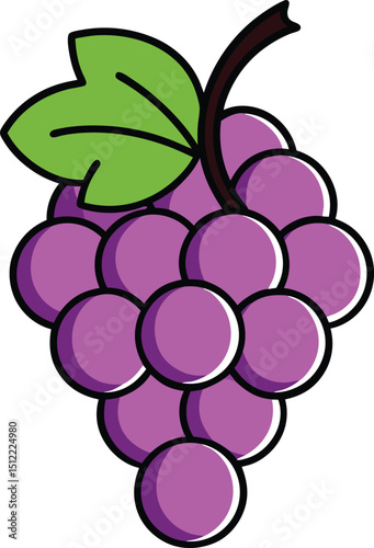 Grapes colour vector art