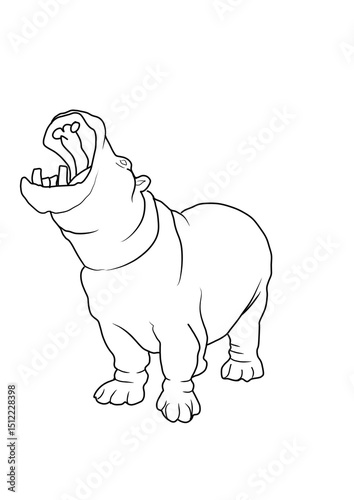vector illustration of a rhinoceros