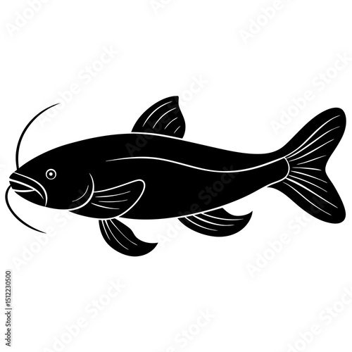 fish isolated on white background