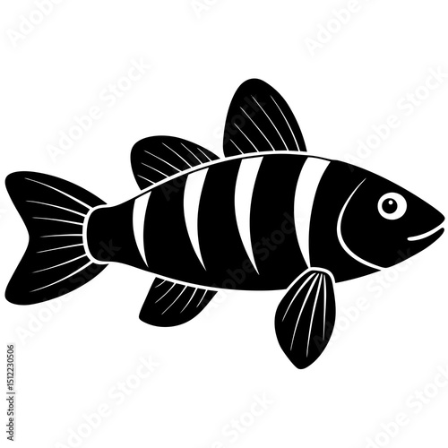 fish on a white background