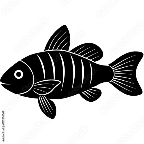 fish on a white background