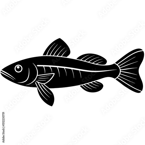 fish on a white background