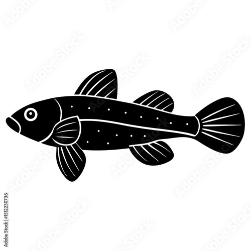 illustration of a fish