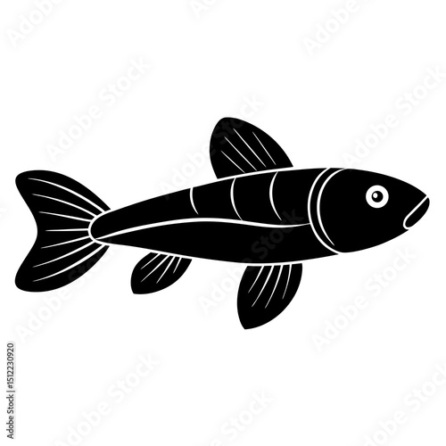 fish on a white background