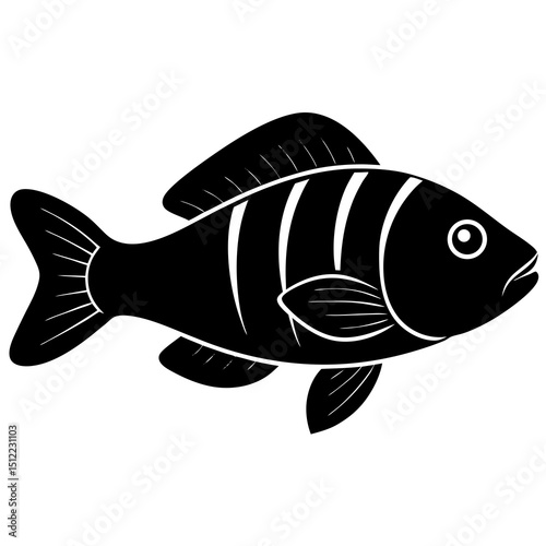 fish on a white background