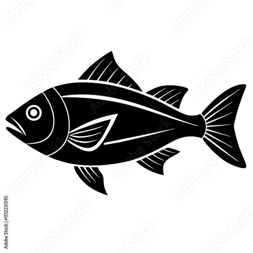 fish vector illustration