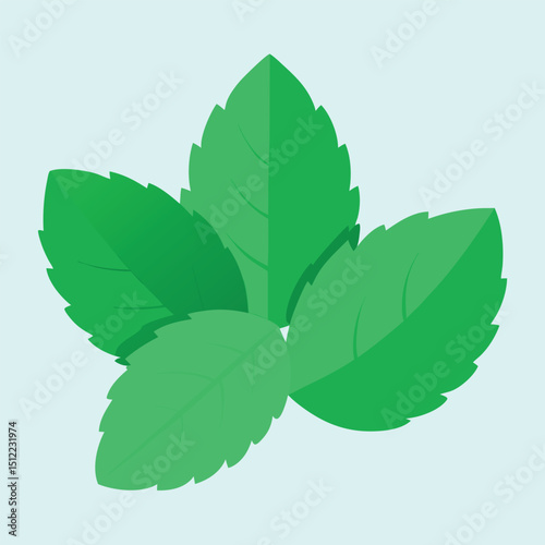Refreshing Mint Leaves A Close-Up Illustration