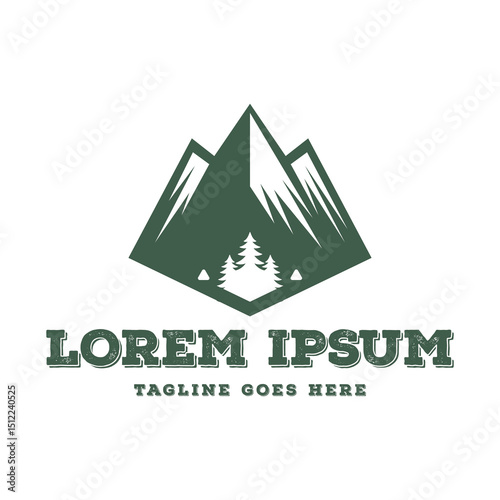 Mountain Pine Evergreen Pine Cedar Conifer Evergreen Spruce Cypress Hemlock Fir Trees Forest