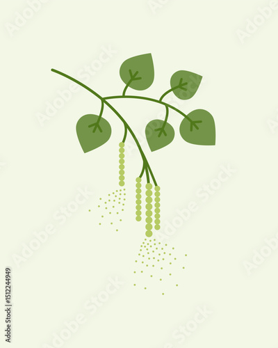 Birch pollinating, pollen grains spreading from the catkins.