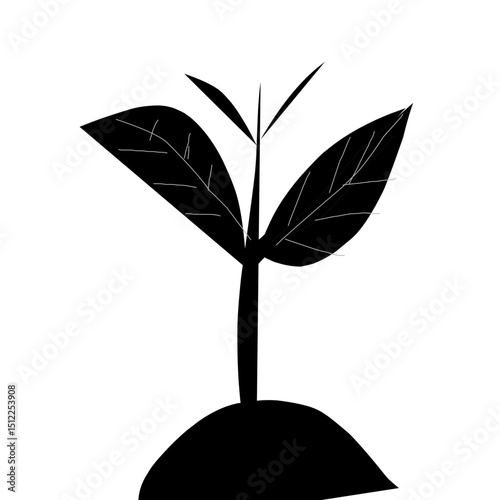 plant with roots