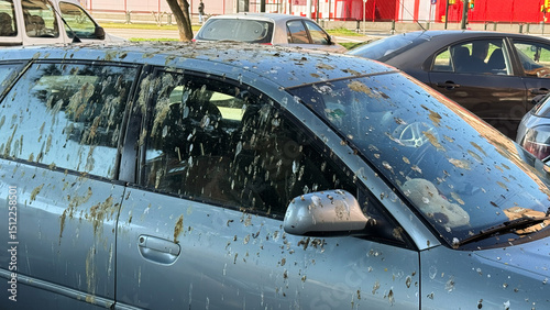 Silver sedan splattered with avian mischief, invoking April Fools' Day misadventures or aviculture enthusiasts' debates on urban coexistence photo